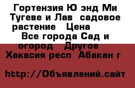 Гортензия Ю энд Ми Тугеве и Лав, садовое растение › Цена ­ 550 - Все города Сад и огород » Другое   . Хакасия респ.,Абакан г.